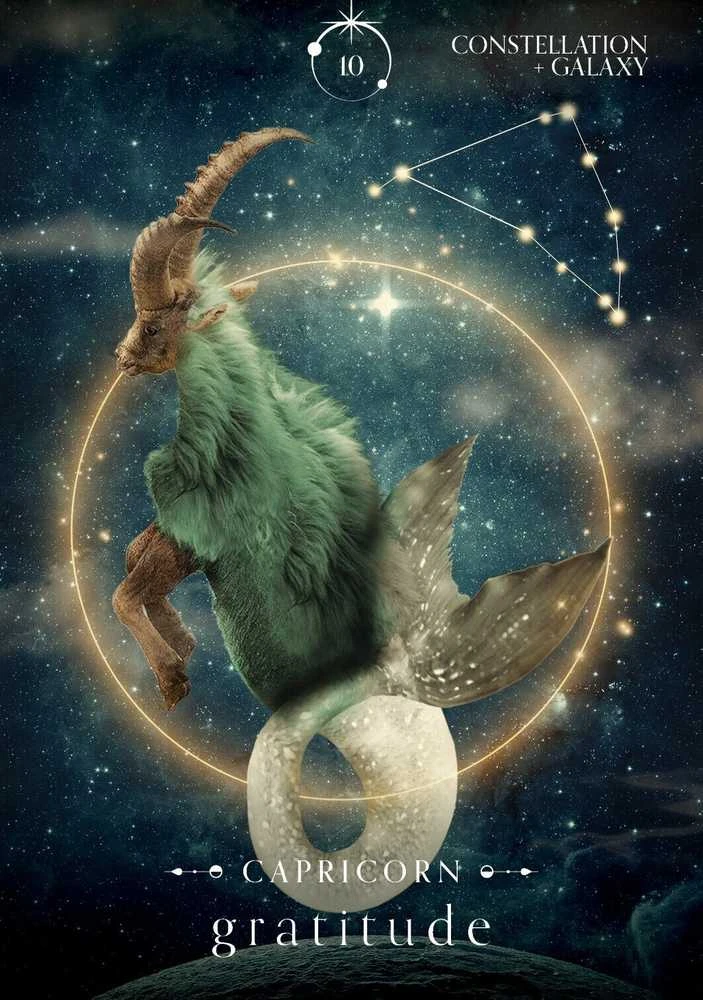 Rockpool Oracle Of The Universe Kortos