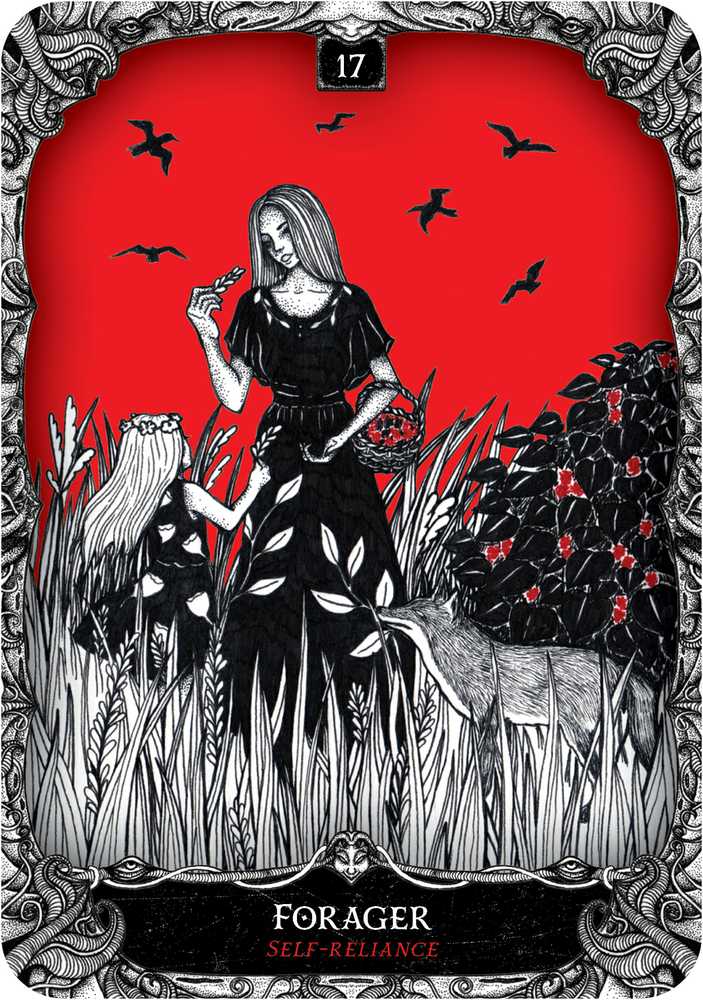 KNYGA Rockpool Oracle Of The Witch Kortos