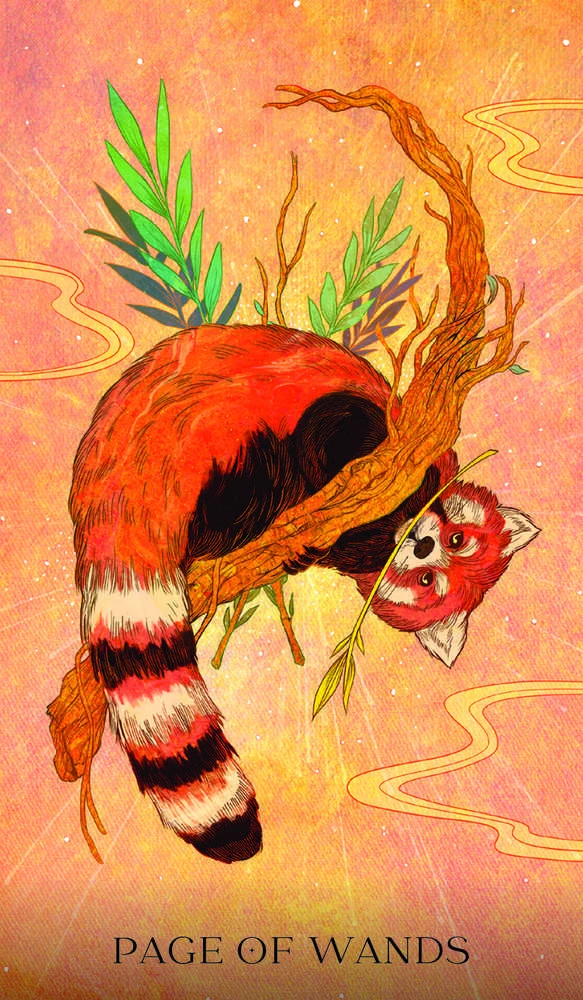 Rockpool Oriens Animal Tarot Taro Kortos