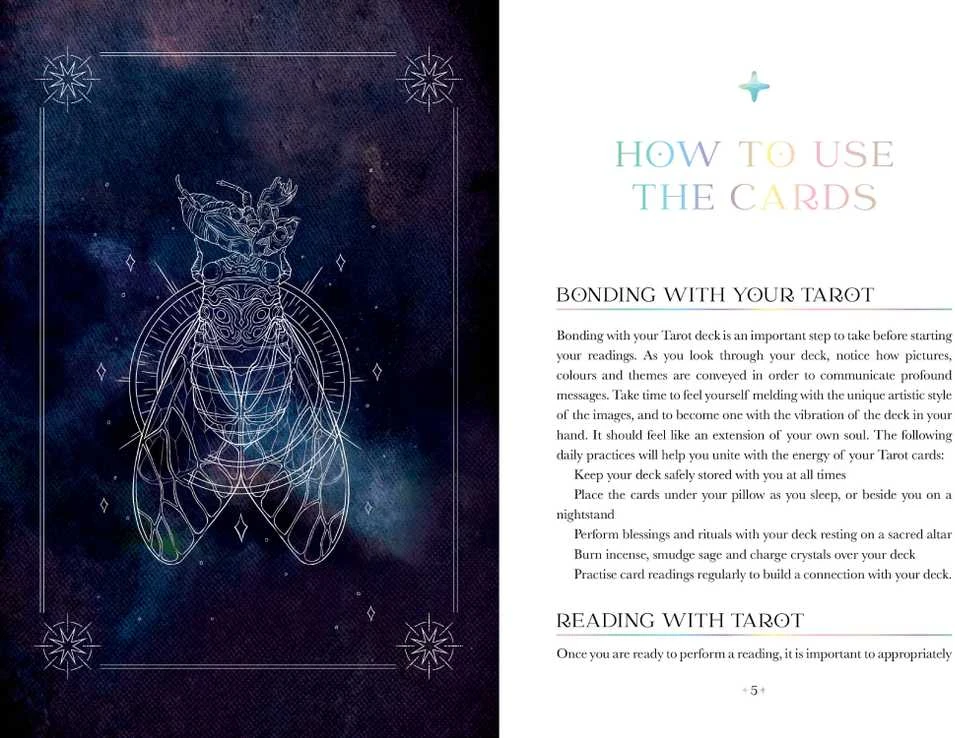 Rockpool Oriens Animal Tarot Taro Kortos