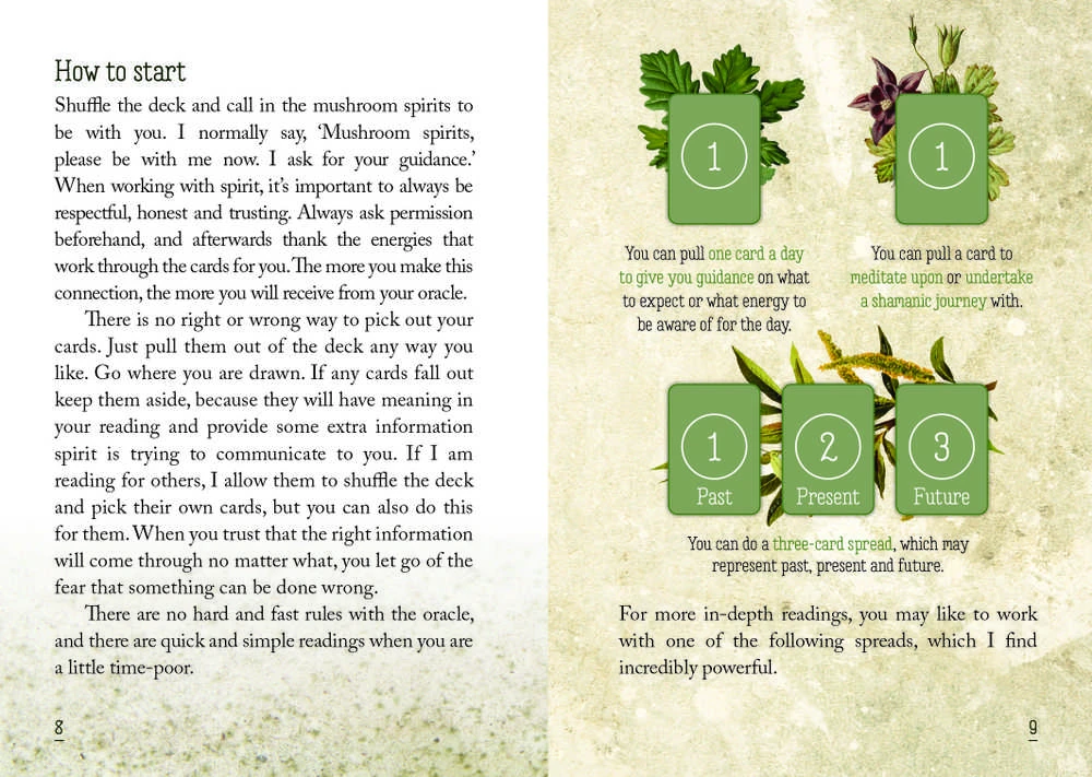 Rockpool Publishing Mushroom Spirit Oracle Kortos