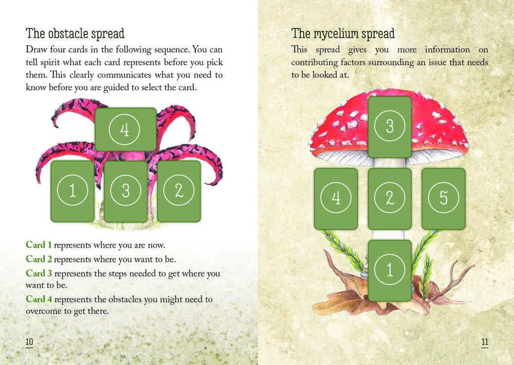Rockpool Publishing Mushroom Spirit Oracle Kortos