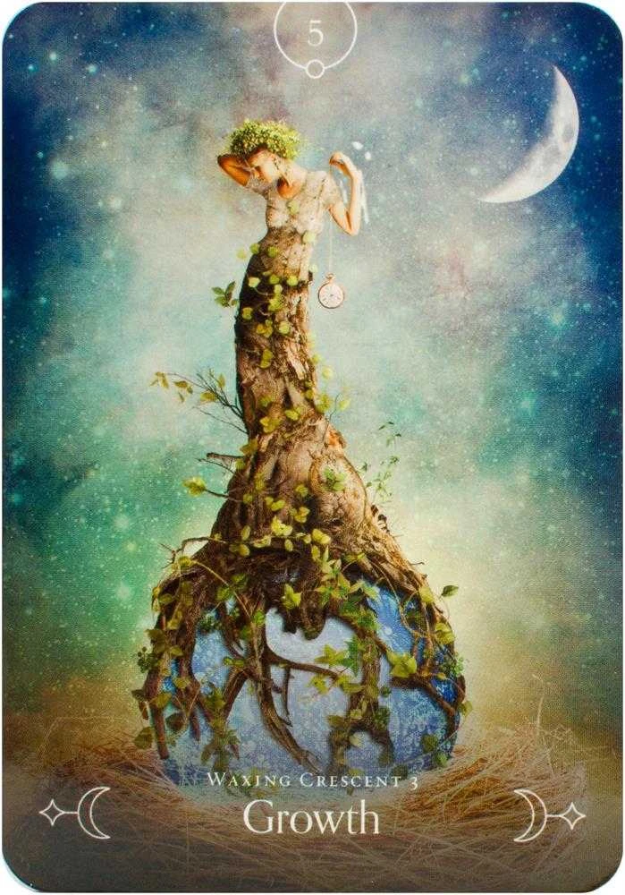 Rockpool Queen Of The Moon Oracle Kortos