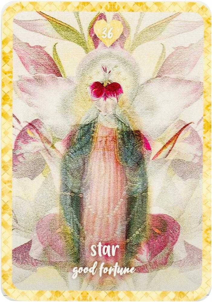 Rockpool Rock Pool Self Love Oracle Kortos