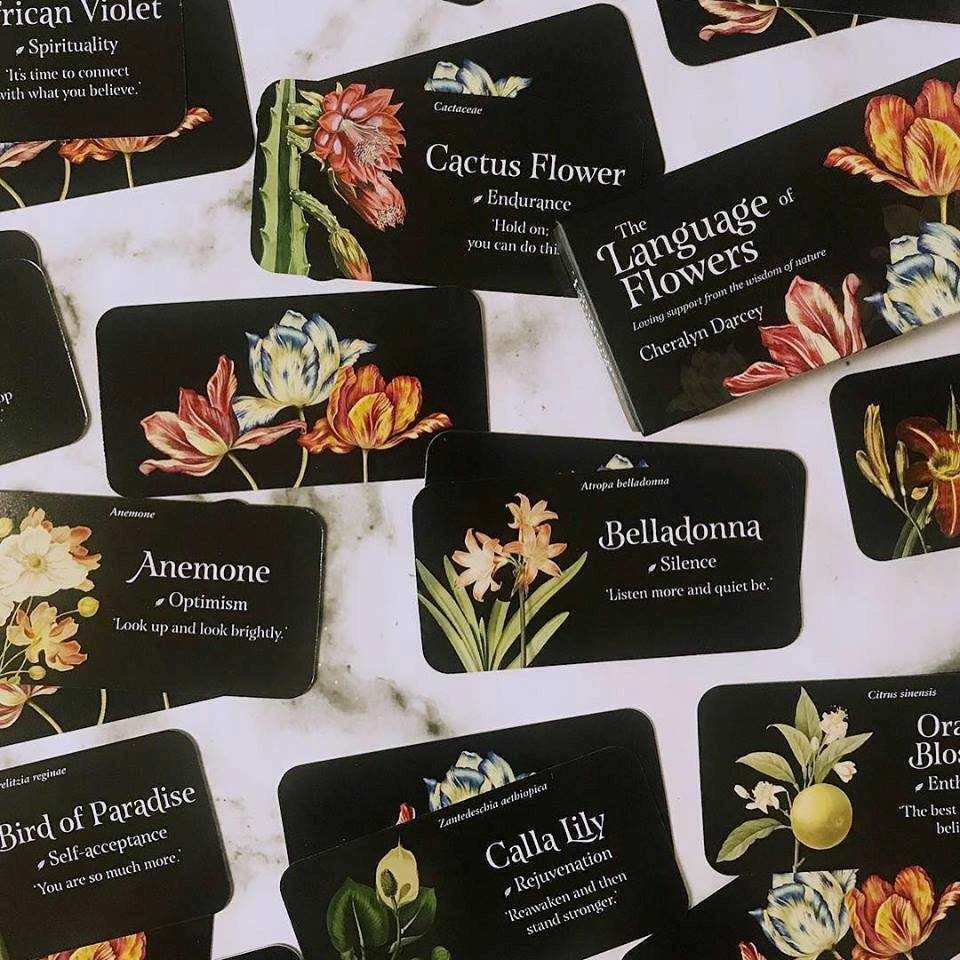 Rockpool The Language Of Flowers Inspiration Kortos