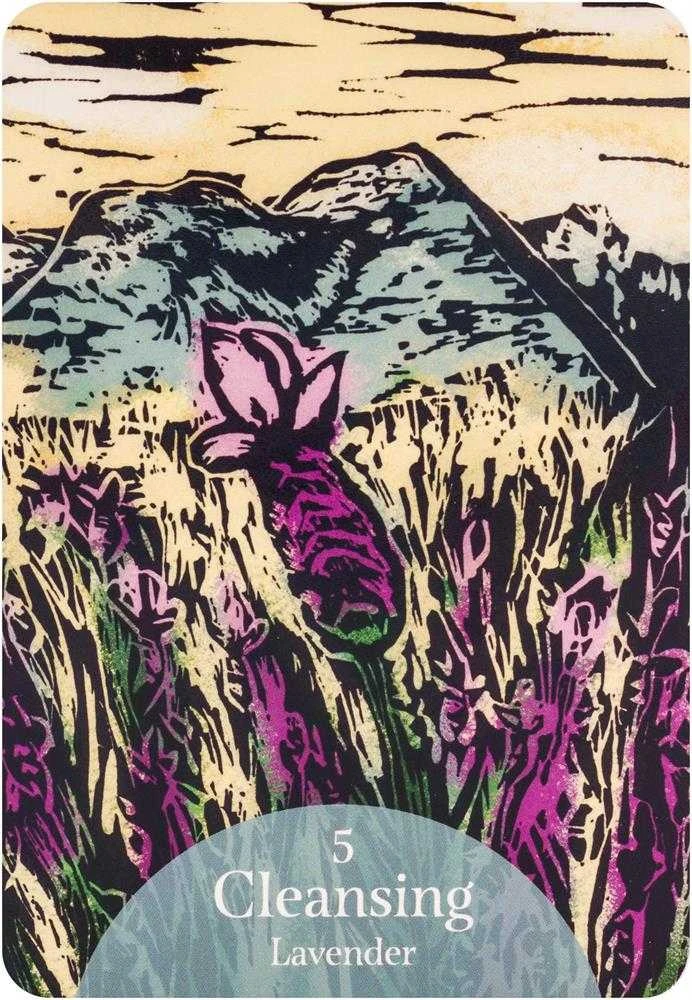 Rockpool The Language Of Flowers Oracle Kortos