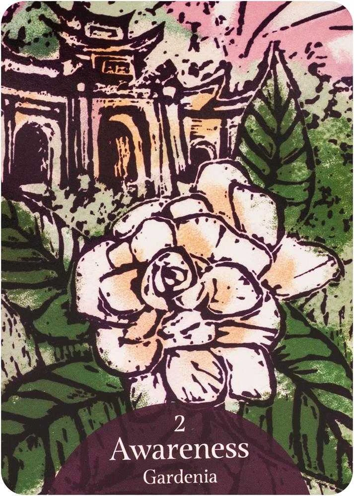 Rockpool The Language Of Flowers Oracle Kortos