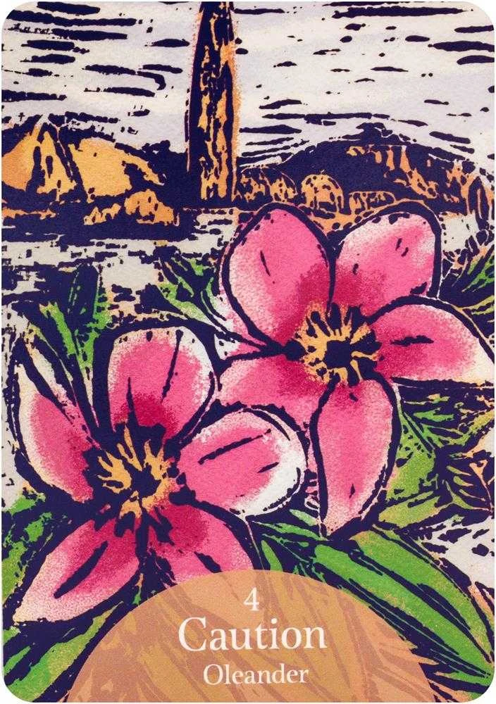 Rockpool The Language Of Flowers Oracle Kortos