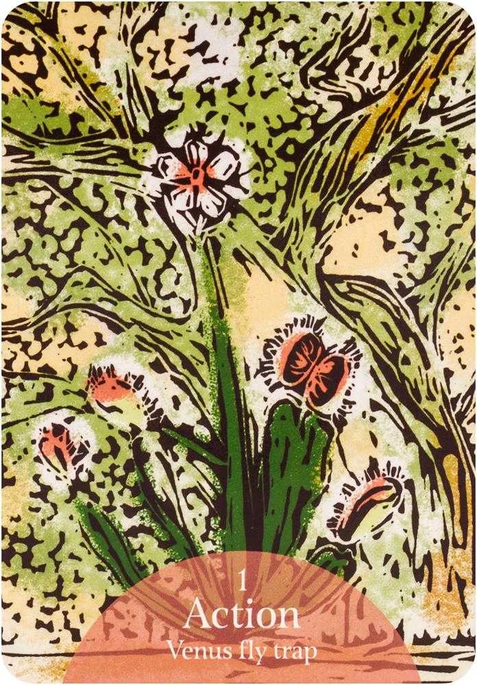 Rockpool The Language Of Flowers Oracle Kortos