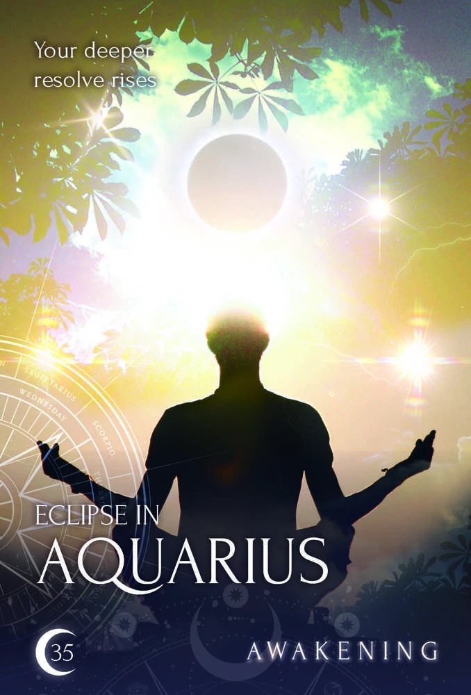 Rockpool Zodiac Moon Reading Kortos