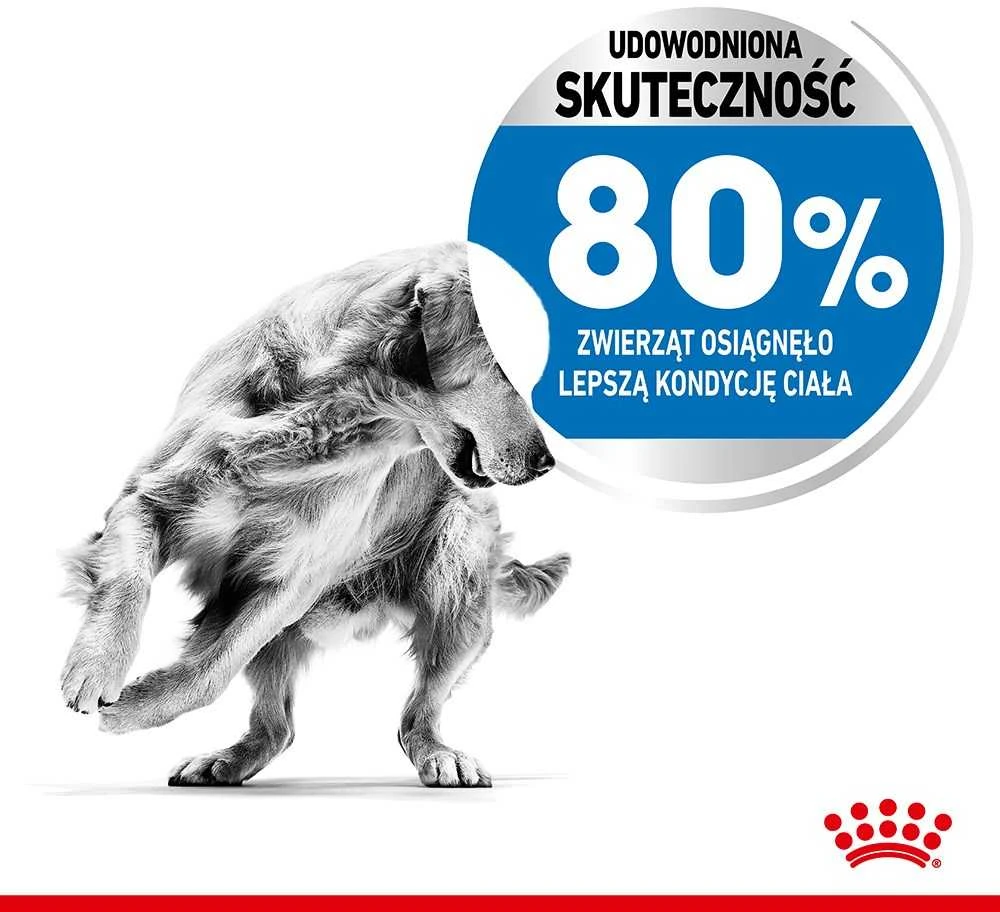 Royal Canin SHN Medium Light Care 3 kg