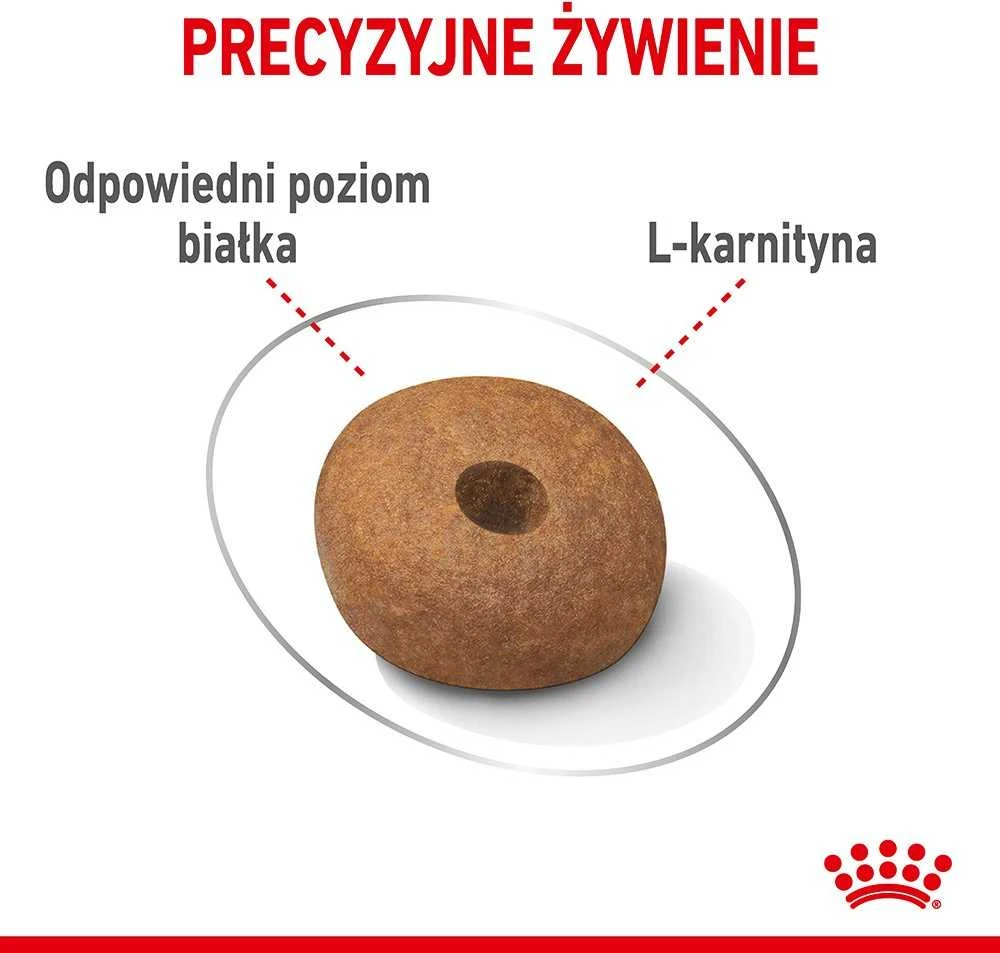 Royal Canin SHN Medium Light Care 3 kg
