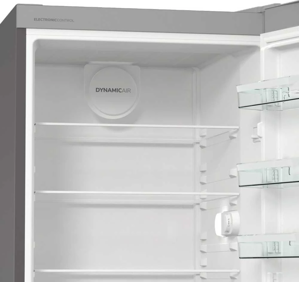 Šaldytuvas GORENJE R619EES5