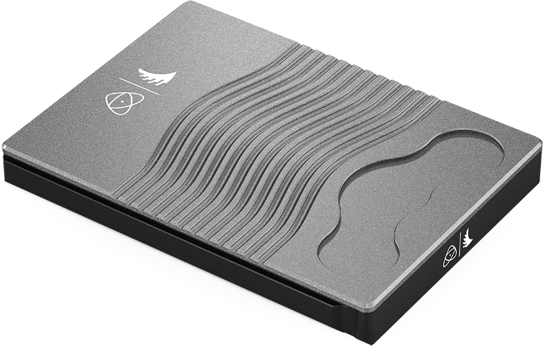 Angelbird Technologies Saugojimo įrenginys - Angelbird AtomX 4K RAW 500 GB