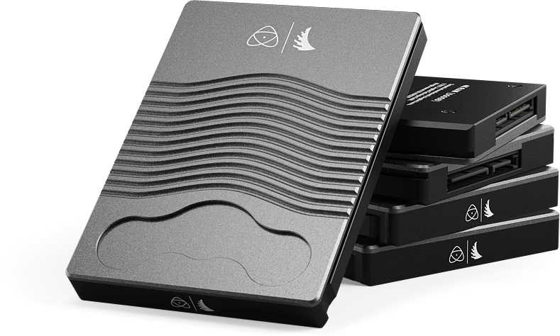Angelbird Technologies Saugojimo įrenginys - Angelbird AtomX 4K RAW 500 GB