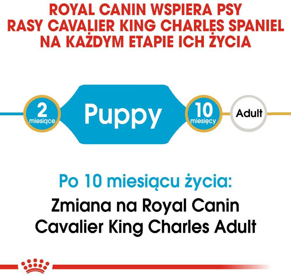 Šunų Maistas - Royal Canin