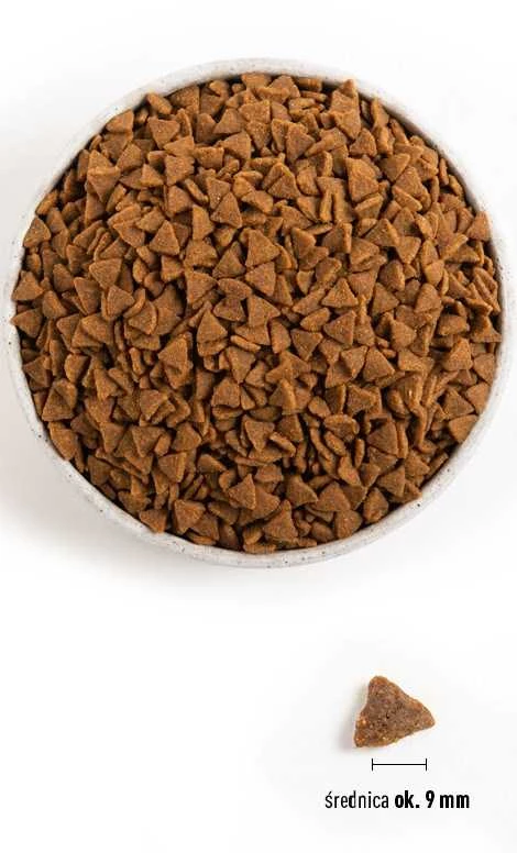 ACANA Bountiful Catch Cat sausas maistas katėms 4,5kg