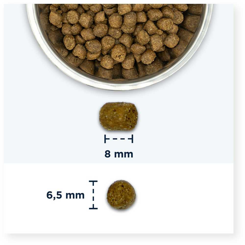 Sausas Kačių Maistas - Eukanuba Vištiena 2 Kg