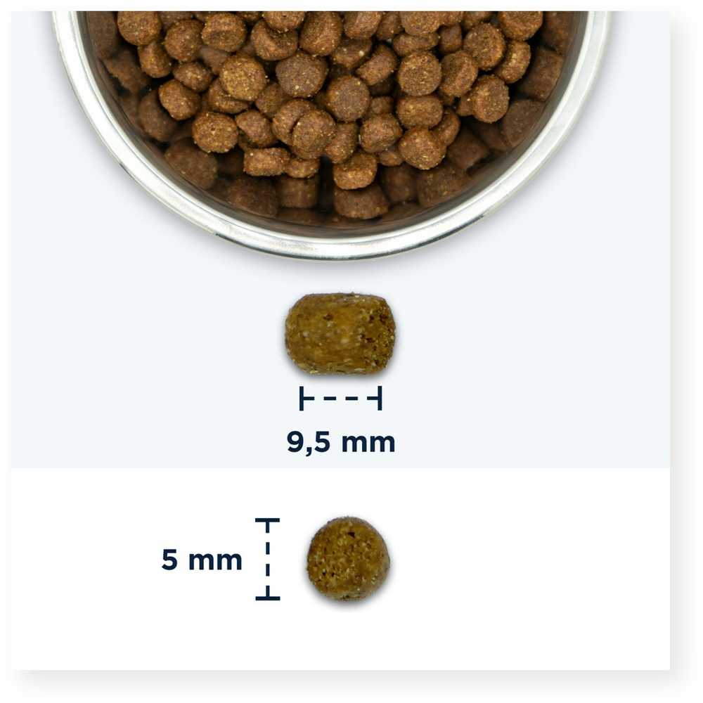 Sausas Kačių Maistas - Eukanuba Vyresniems Katinams Su Vištiena 2kg