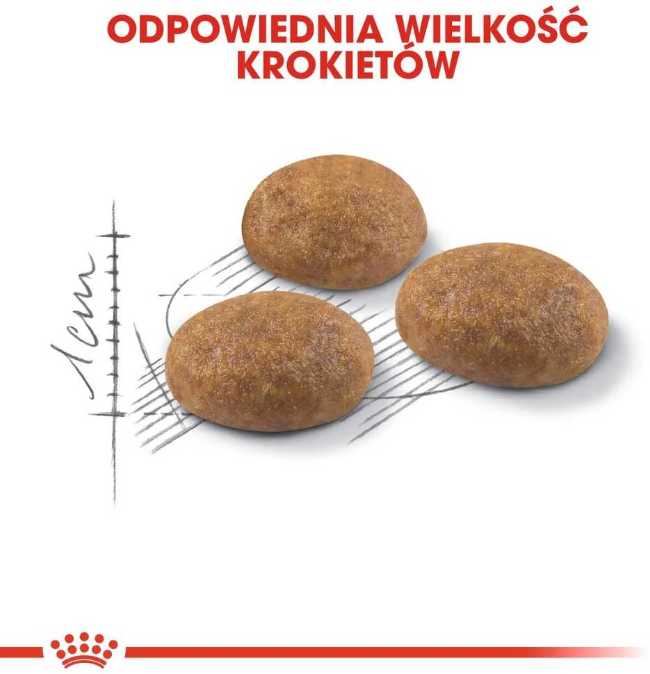 Royal Canin Outdoor 2kg