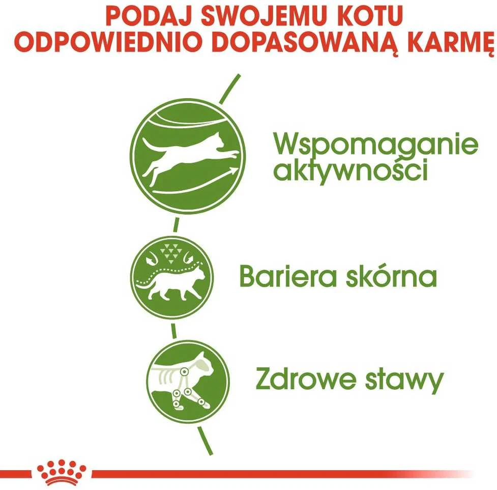 Royal Canin Outdoor 2kg