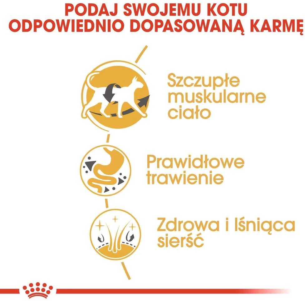 Royal Canin Siamo suaugusiems 2kg