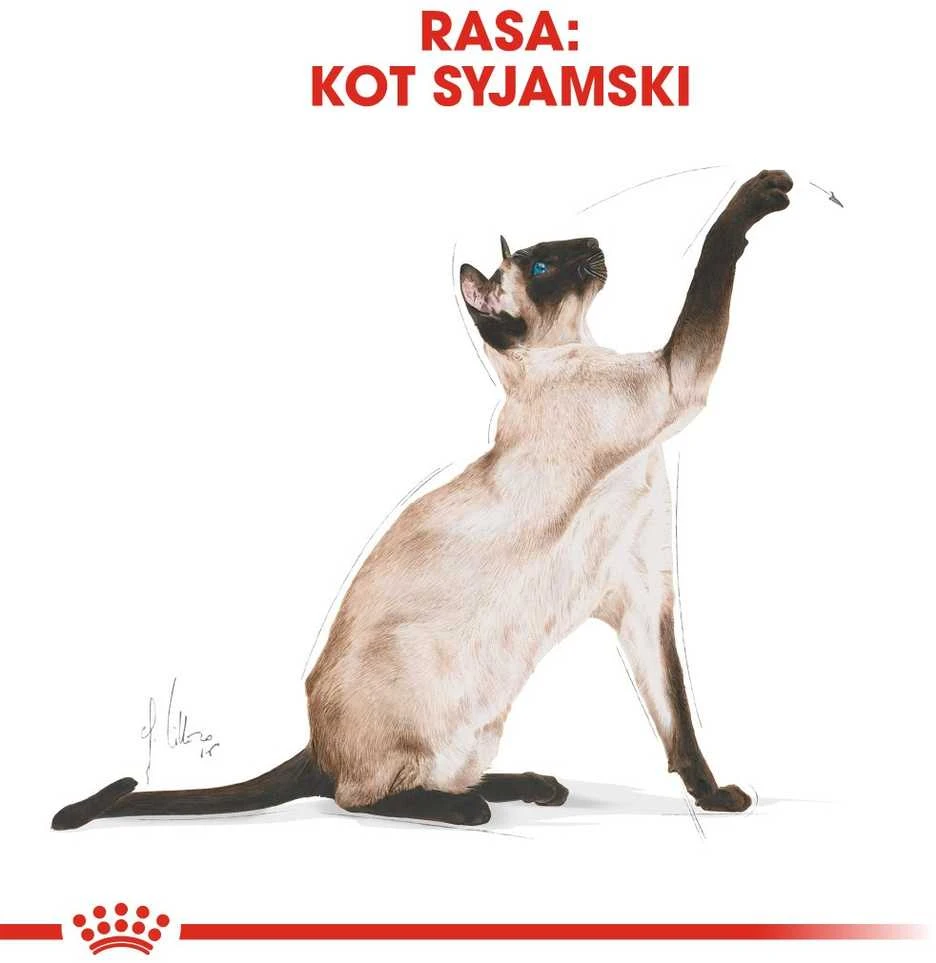 Royal Canin Siamo suaugusiems 2kg