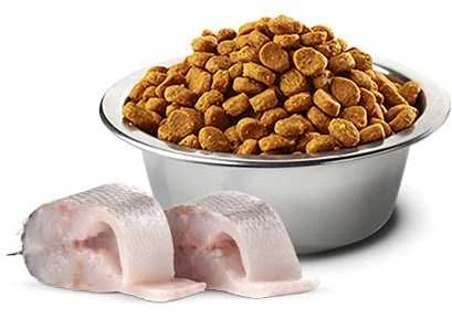 Sausas Šunų Maistas - Farmina N&D Jūros Ešerys Mini, 2kg