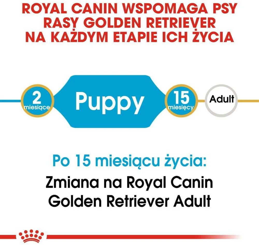 Royal Canin Golden Retriever Puppy sausas maistas auksaspalvių retriverių veislės šuniukams, 12 kg