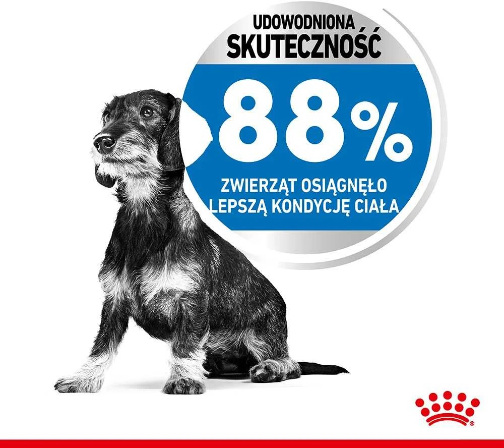 Royal Canin Mini Light Weight Care sausas maistas suaugusiems šunims, mažoms veislems su tendencją antsvoriui 3kg