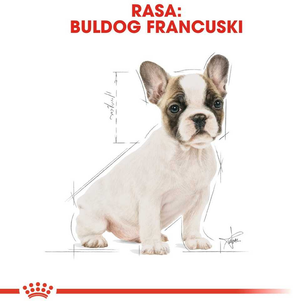 Royal Canin French Bulldog Junior 3kg
