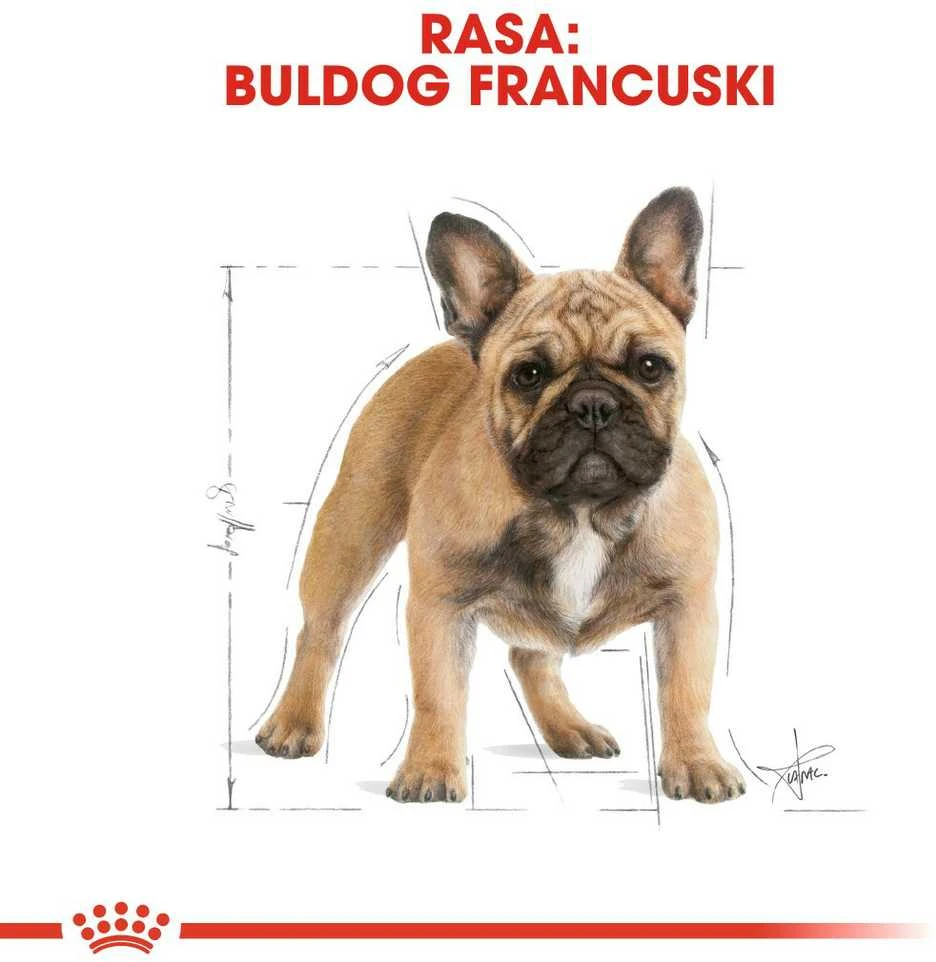 Royal Canin French Bulldog Adult 3kg