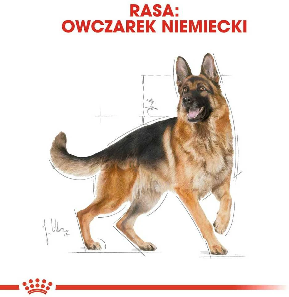 Royal Canin German Shepherd Adult 11kg