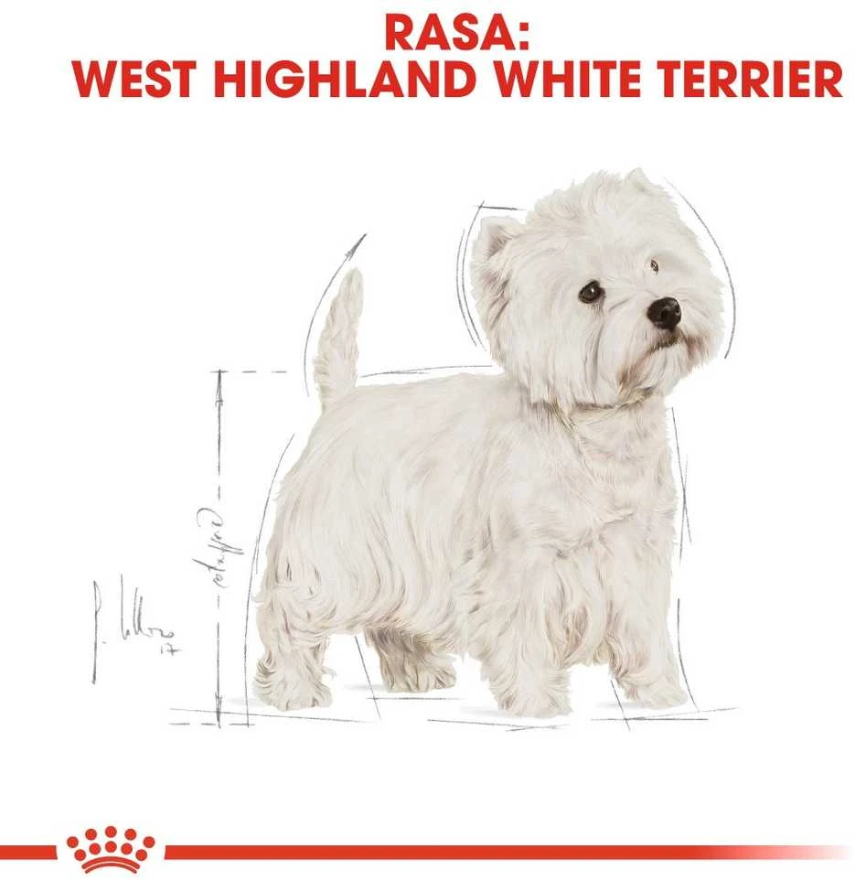 Royal Canin West Highland White Terrier Adult 3kg