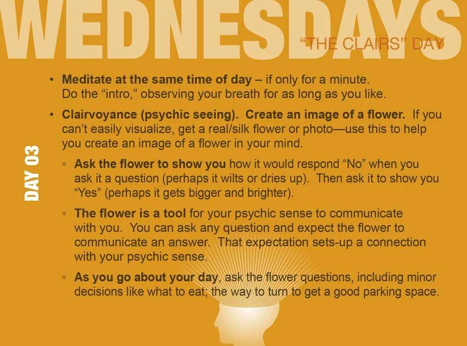 Schiffer Publishing Build Your Psychic Skills The 90 Day Plan Kortos