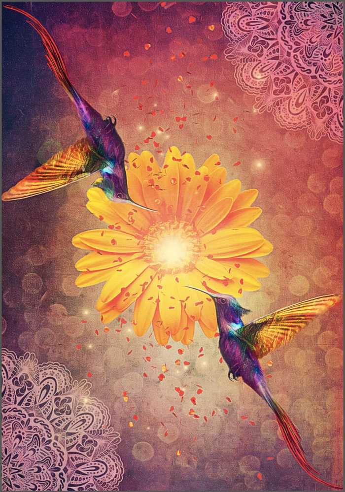 KNYGA Schiffer Publishing Hummingbird Wisdom Oracle Kortos