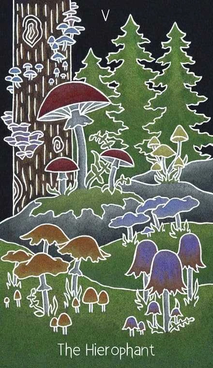 Schiffer Publishing Taro kortos - Animystic Tarot 78 Kortų su Gido Dėžute 14x10.3x6.2 cm