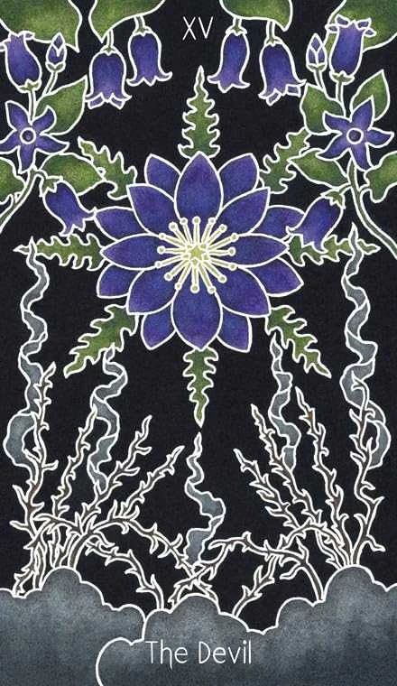 Schiffer Publishing Taro kortos - Animystic Tarot 78 Kortų su Gido Dėžute 14x10.3x6.2 cm