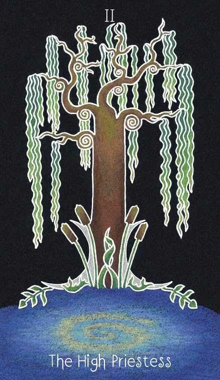 Schiffer Publishing Taro kortos - Animystic Tarot 78 Kortų su Gido Dėžute 14x10.3x6.2 cm