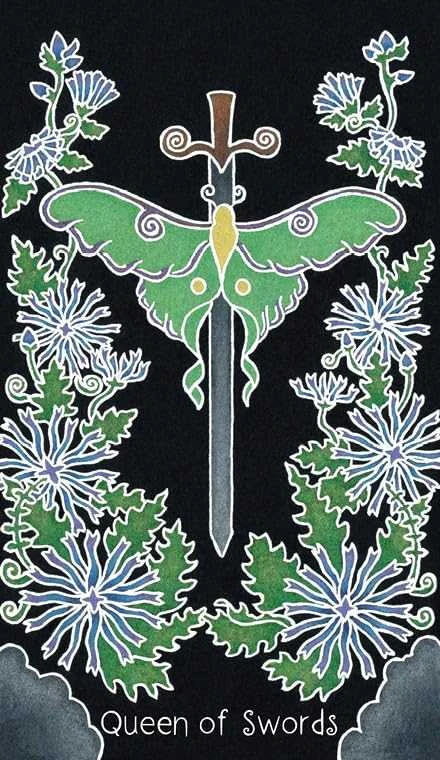 Schiffer Publishing Taro kortos - Animystic Tarot 78 Kortų su Gido Dėžute 14x10.3x6.2 cm