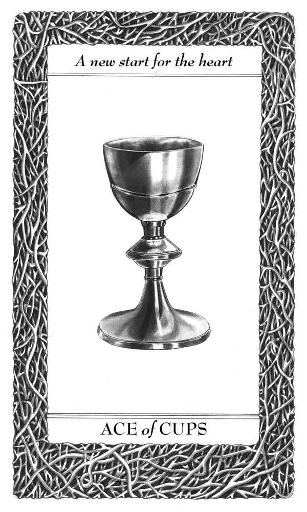 Schiffer Publishing Lieselle Eternal Tarot – 78 Taro kortų kaladė su vadovu
