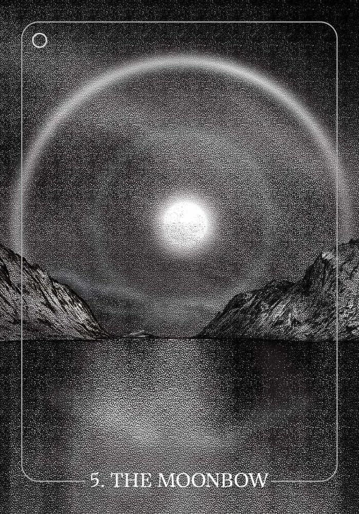 Schiffer Publishing Taro kortų rinkinys - Bloodlands Oracle 42 Kortų Gidas Dėžutė 16x14.5x3.6cm