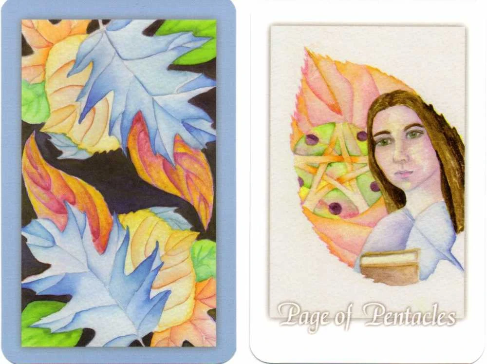 Schiffer Publishing Tarot Leaves Taro Kortos
