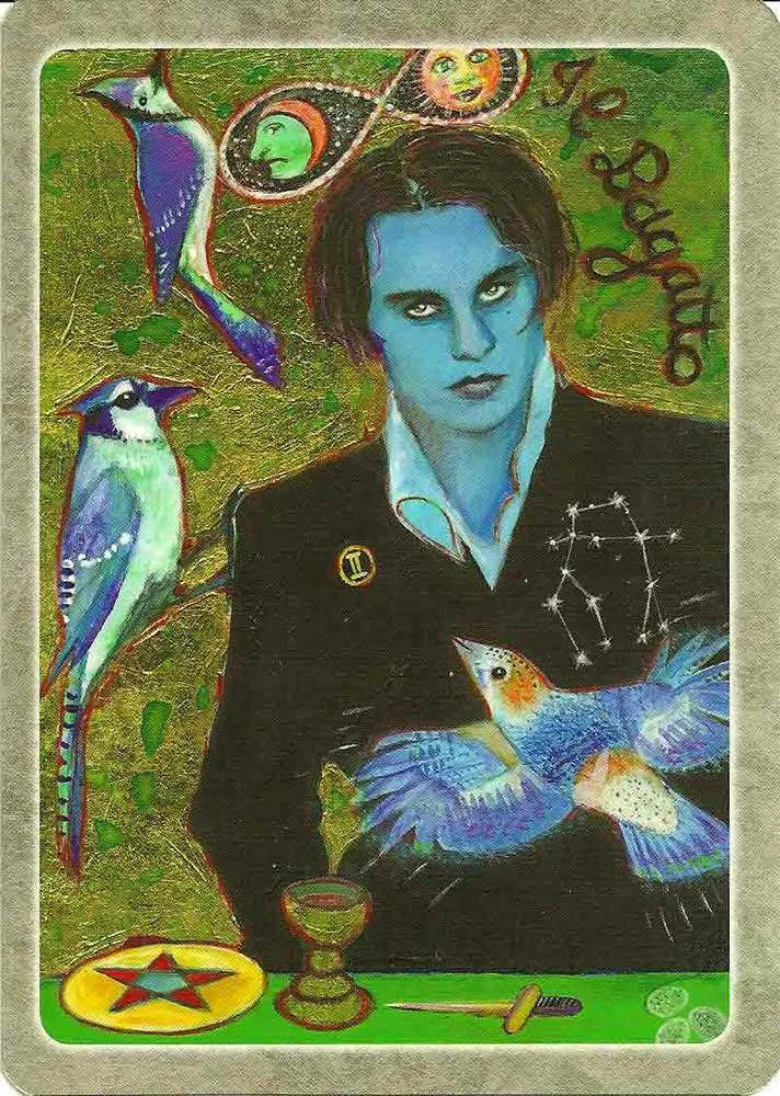 Schiffer Publishing The Secret Language Of Birds Taro Kortos