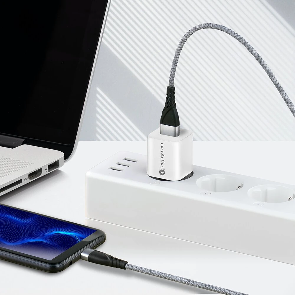 everActive 5-12V USB QC 3.0 ir USB-C PD PPS 30W GaN įkroviklis SC-390Q