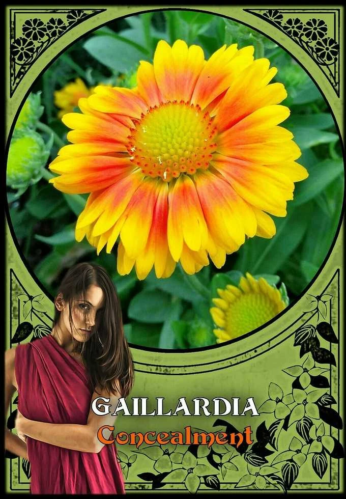 Solarus Flower Magic Oracle Kortos