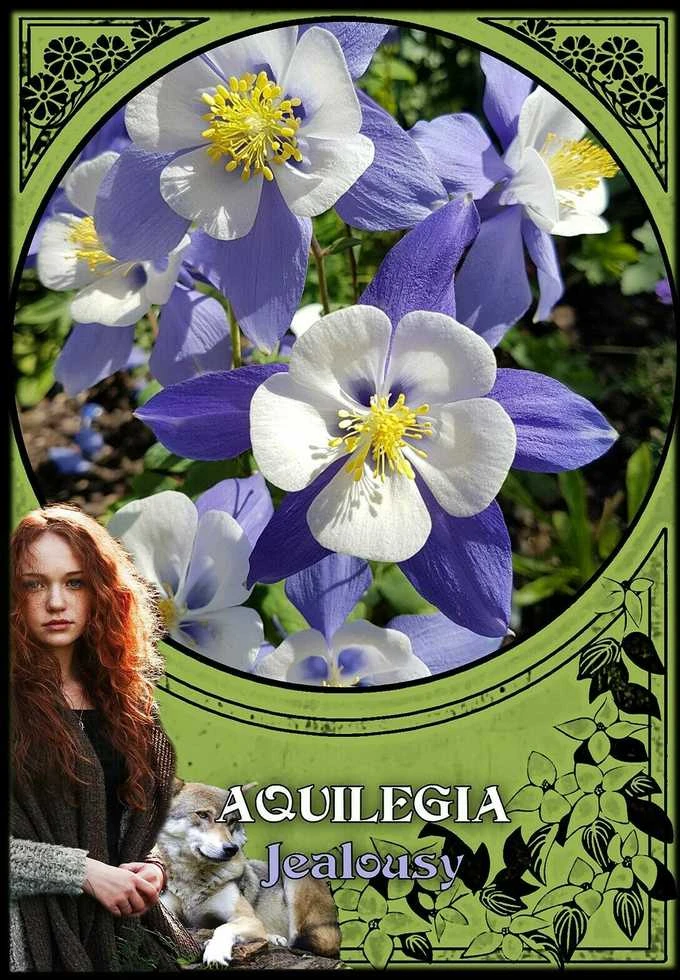 Solarus Flower Magic Oracle Kortos