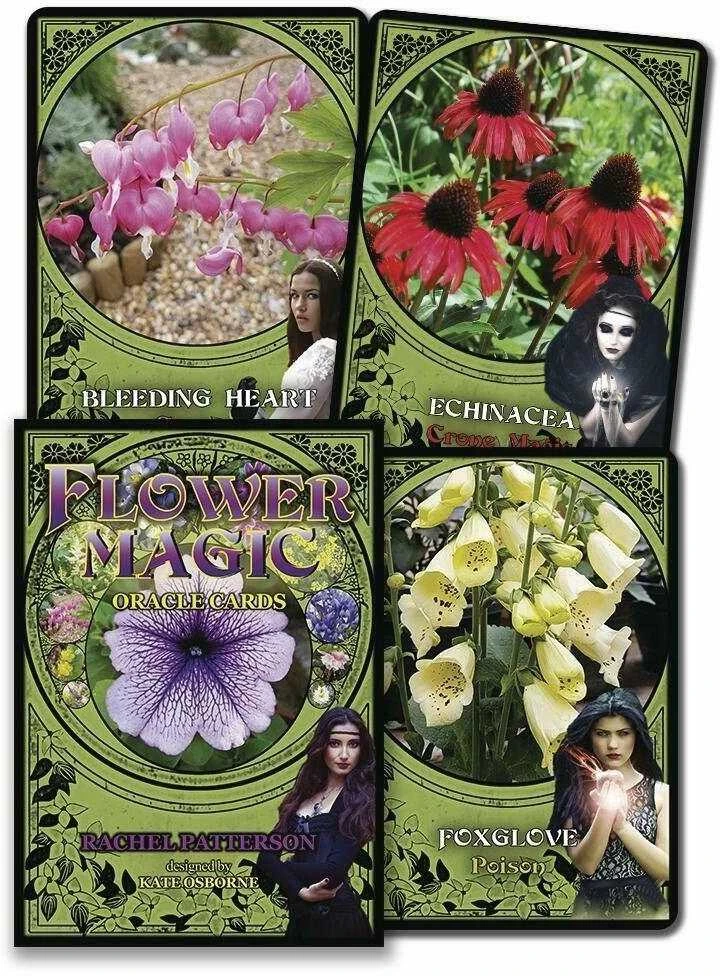 Solarus Flower Magic Oracle Kortos