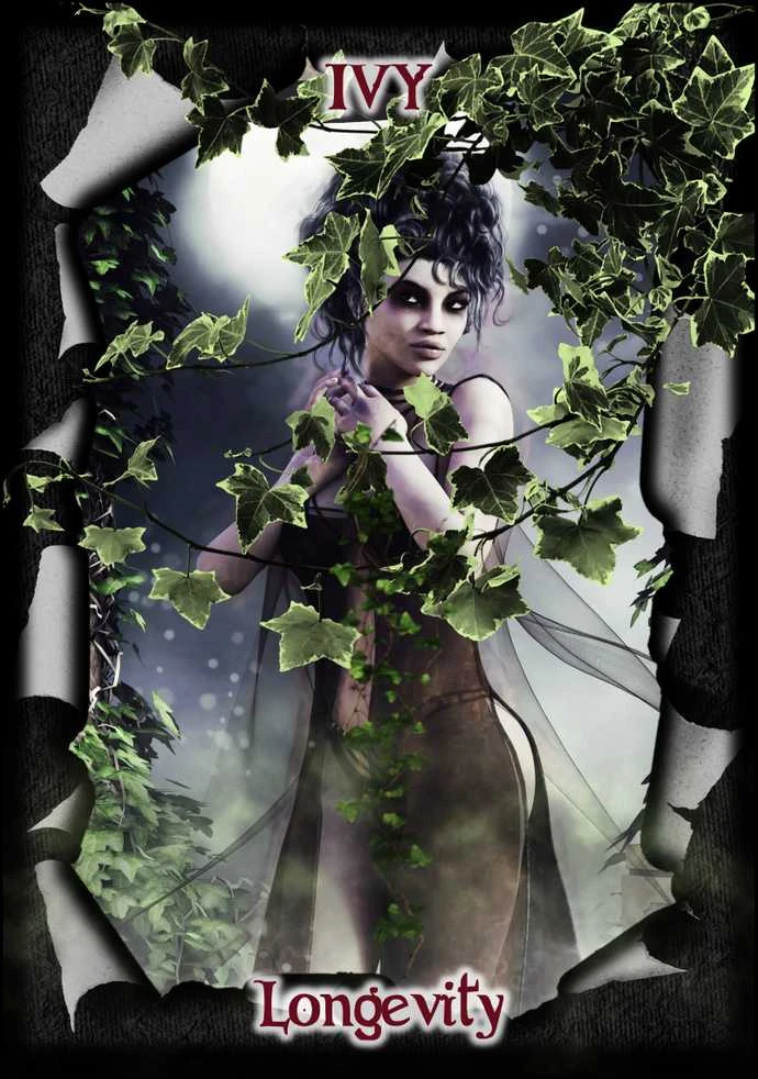 Solarus Gothika Revealed Oracle Kortos