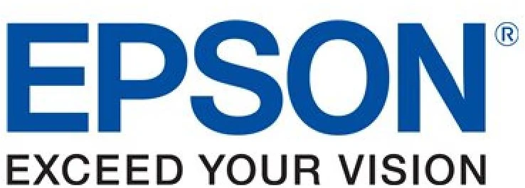 Epson T04Q100 | Ink Cartridge | Juodas